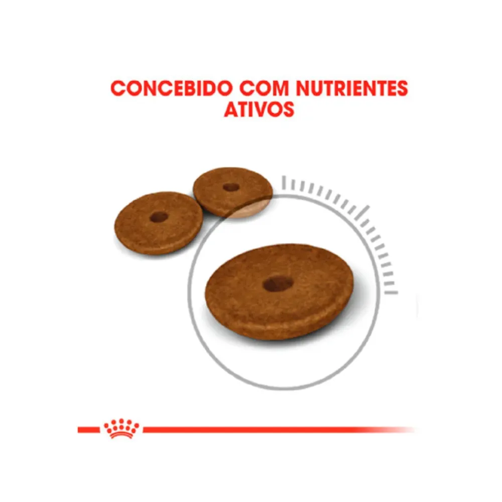 Ração Royal Canin Feline Digestive Care Nutrition Gatos Adultos 1,5 Kg