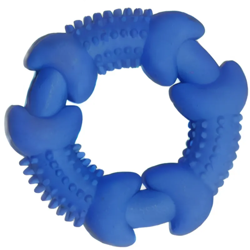 Brinquedo Argola com Spike II Cores Sortidas
