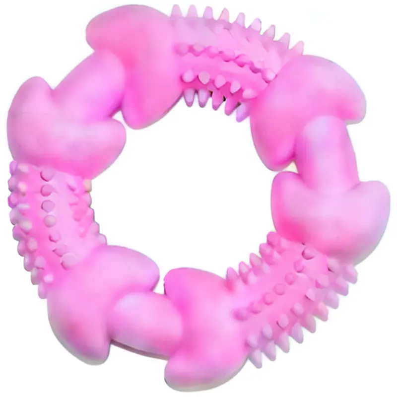 Brinquedo Argola com Spike II Cores Sortidas