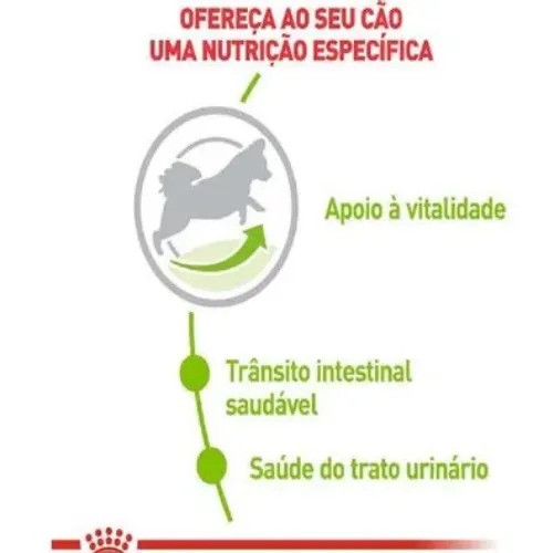 Ração Royal Canin XSmall para Cães Sênior 8+