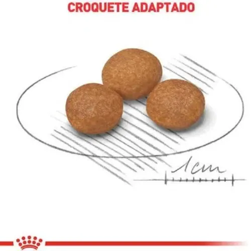Ração Royal Canin XSmall para Cães Sênior 8+