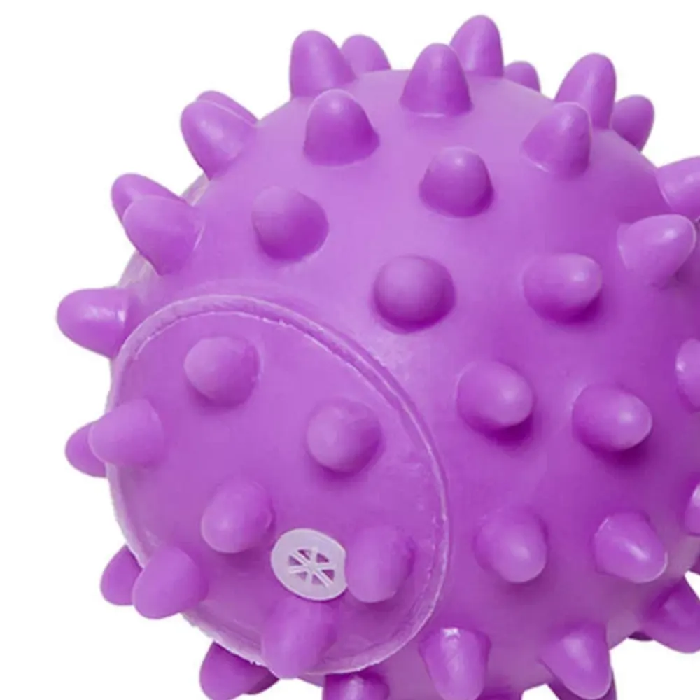 Brinquedo Vinil Home Pet Bola Espinho Roxo para Cães