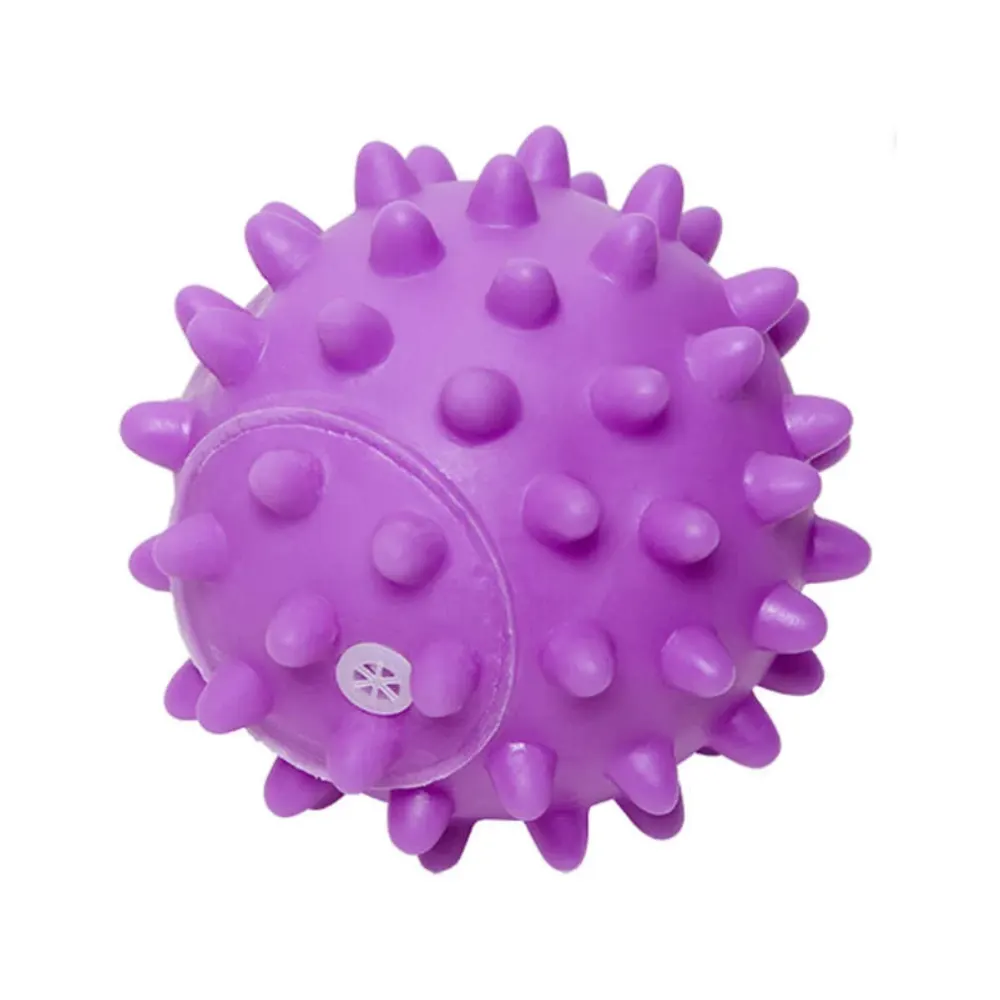 Brinquedo Vinil Home Pet Bola Espinho Roxo para Cães