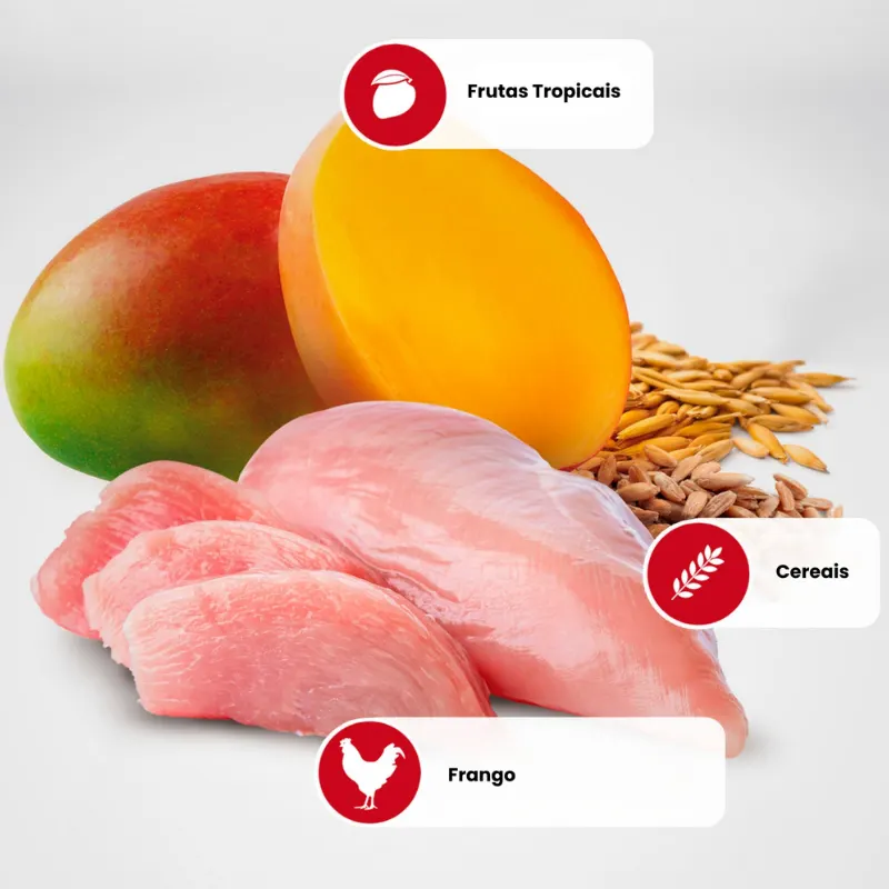 Ração Seca Farmina N&D Tropical para Cães Adultos de Raças Mini e Pequenas Sabor Frango, Cereais e Frutas Tropicais 2 Kg