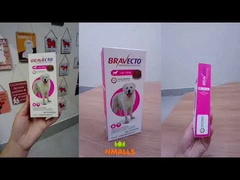 Bravecto 1400mg Antipulgas e Carrapatos Cães de 40 a 56kg