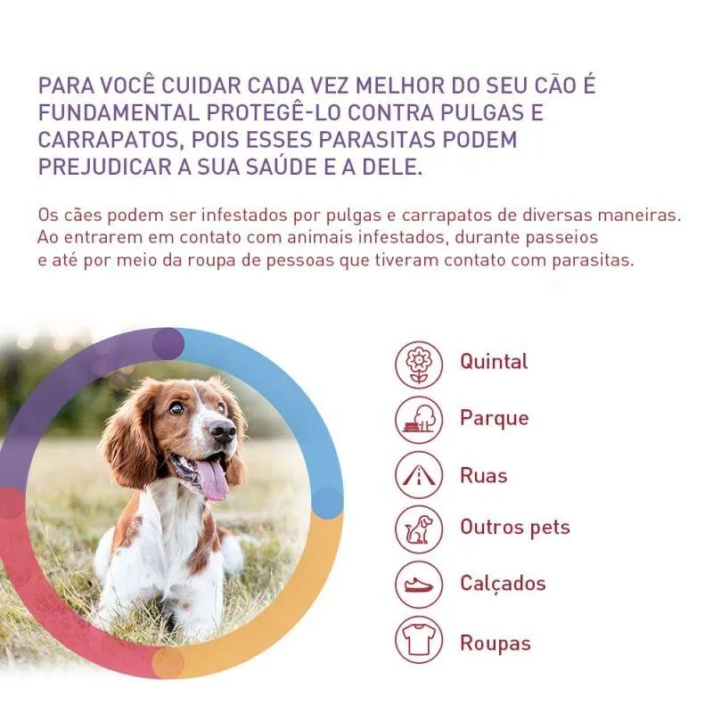 Bravecto 1400mg Antipulgas e Carrapatos Cães de 40 a 56kg