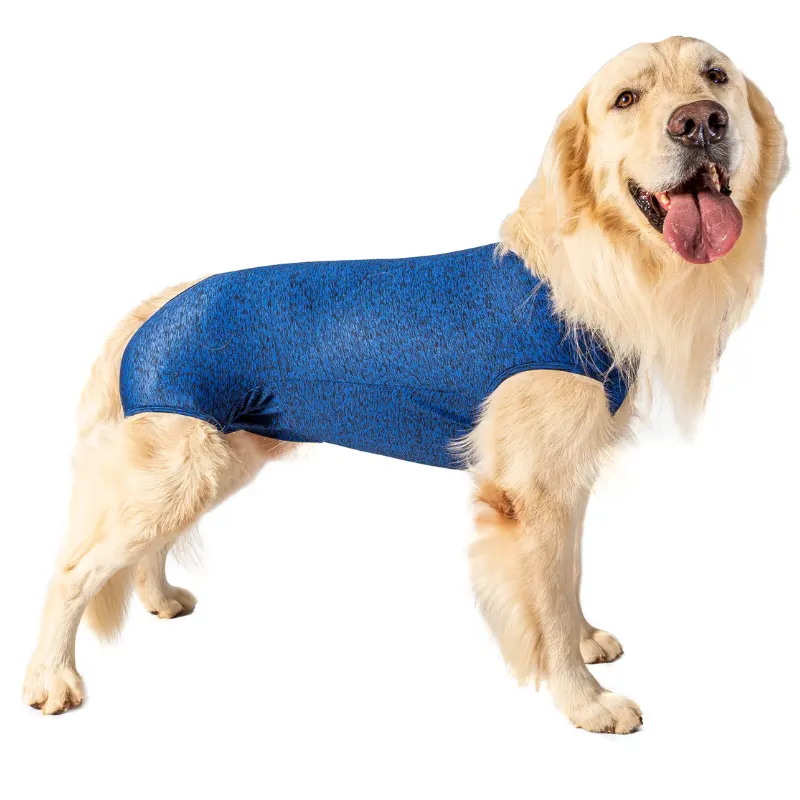 Roupa Pós Cirúrgica Castração Macho Pet Designer
