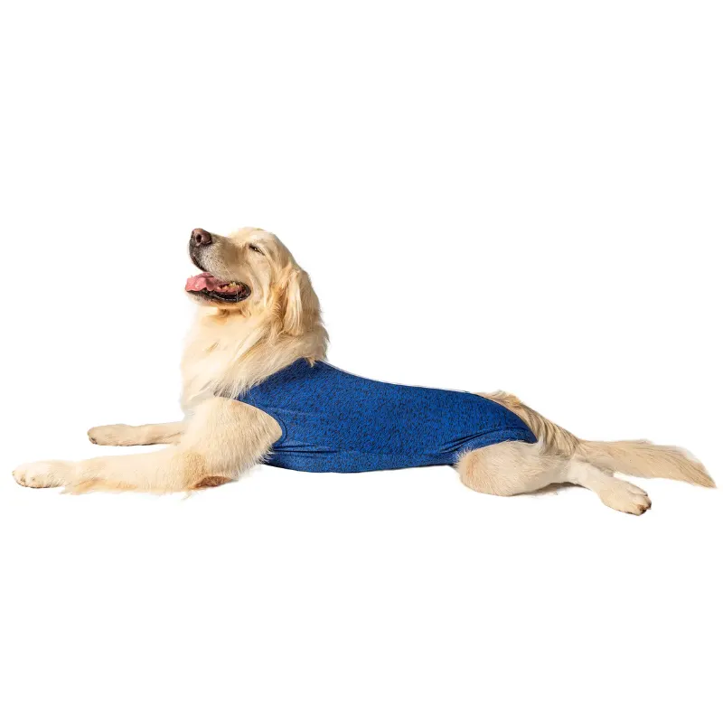 Roupa Pós Cirúrgica Castração Macho Pet Designer