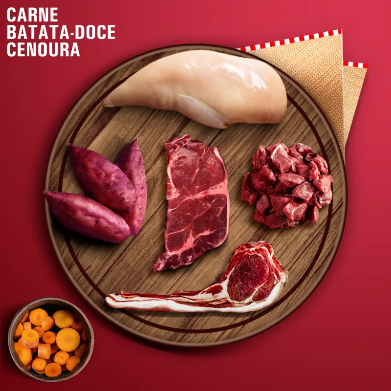Ração Úmida Livelong Gatos Meats Delia de Carne 300 g