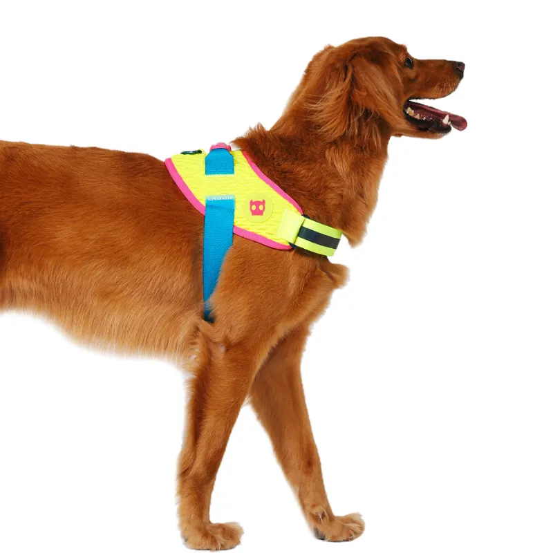 Peitoral Zee.Dog Cmyk Flyharness tamanho 3