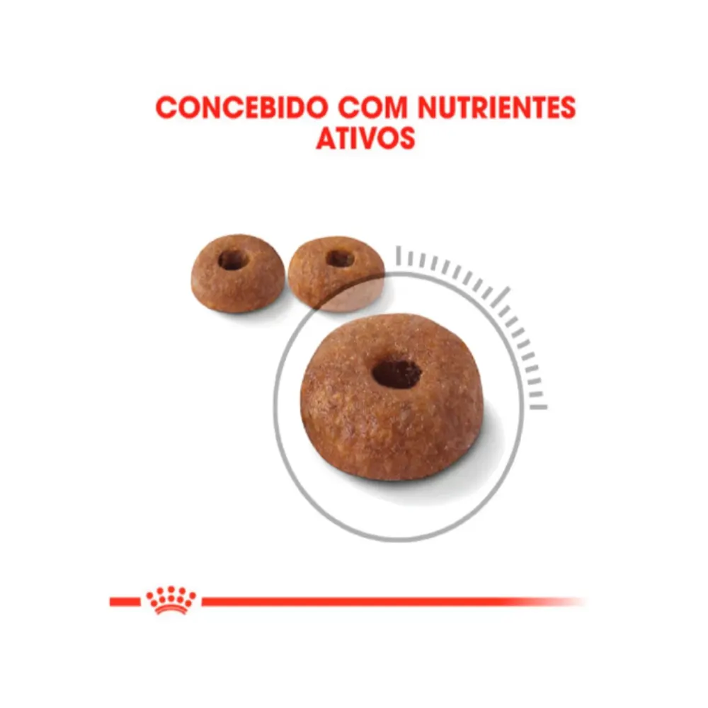 Ração Royal Canin Light para Gatos Adultos 400g