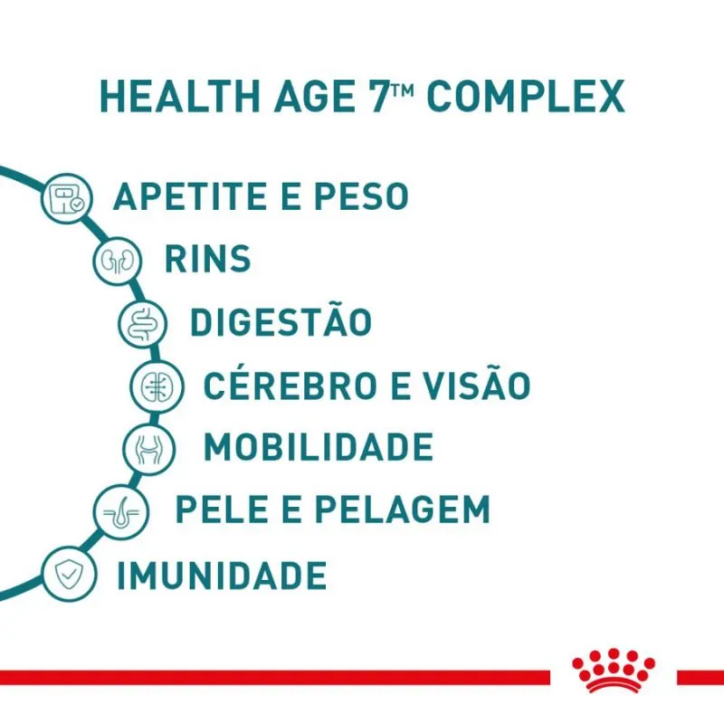 Ração Úmida Royal Canin Ageing 11+ para Gatos Sênior 85 g