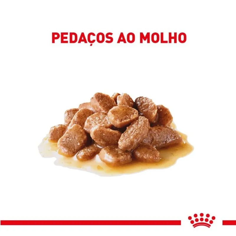 Ração Úmida Royal Canin Ageing 11+ para Gatos Sênior 85 g