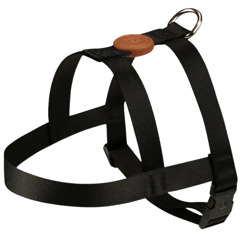 Conjunto Toh Peitoral Tradicional e Guia M Black