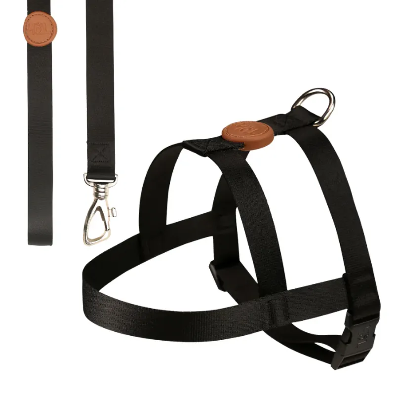 Conjunto Toh Peitoral Tradicional e Guia M Black