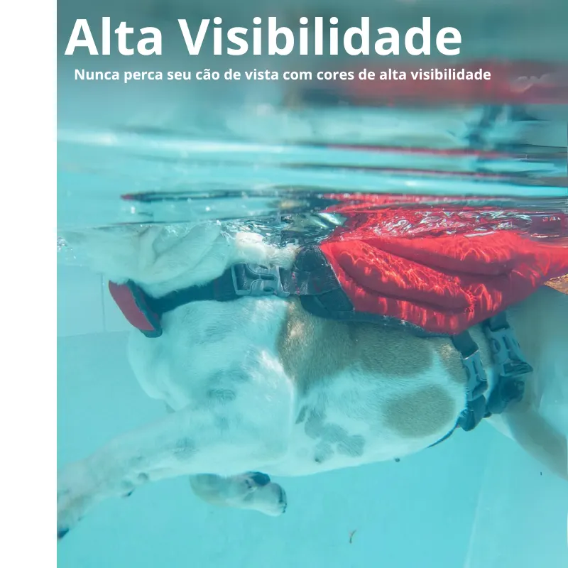 Jaqueta Salva Vidas Outward Hound Dawson Swim para Cães