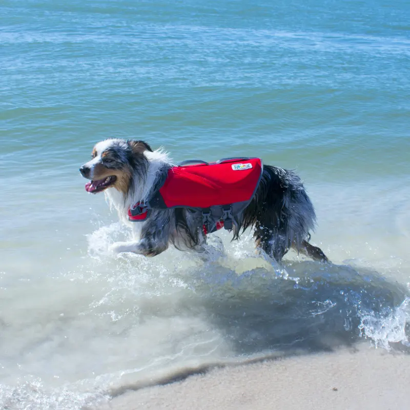 Jaqueta Salva Vidas Outward Hound Dawson Swim para Cães