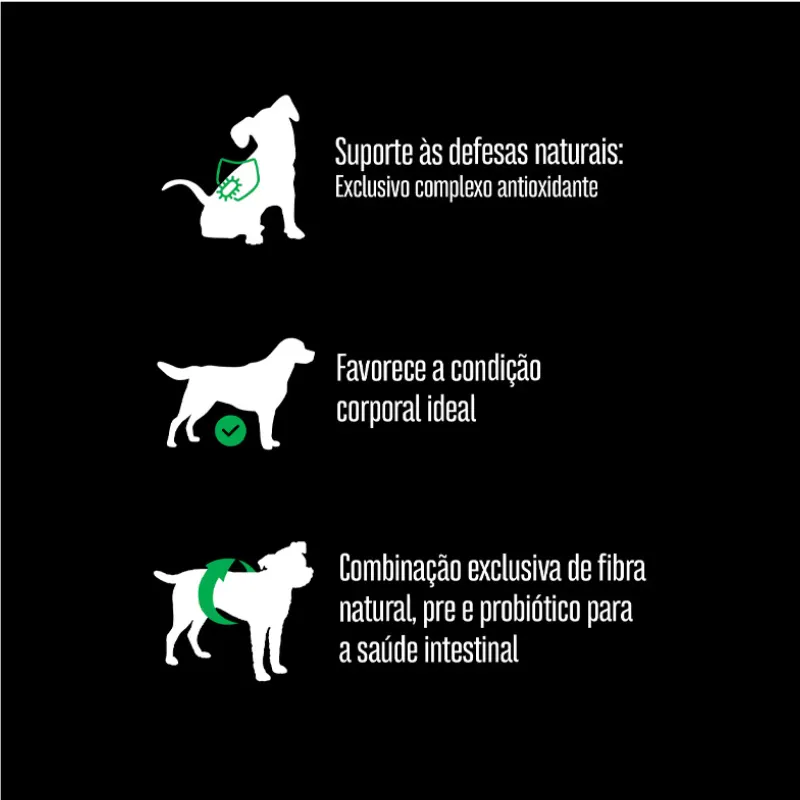Ração Equilíbrio para Cães Filhotes de Porte Médio Sabor Frango 15 kg