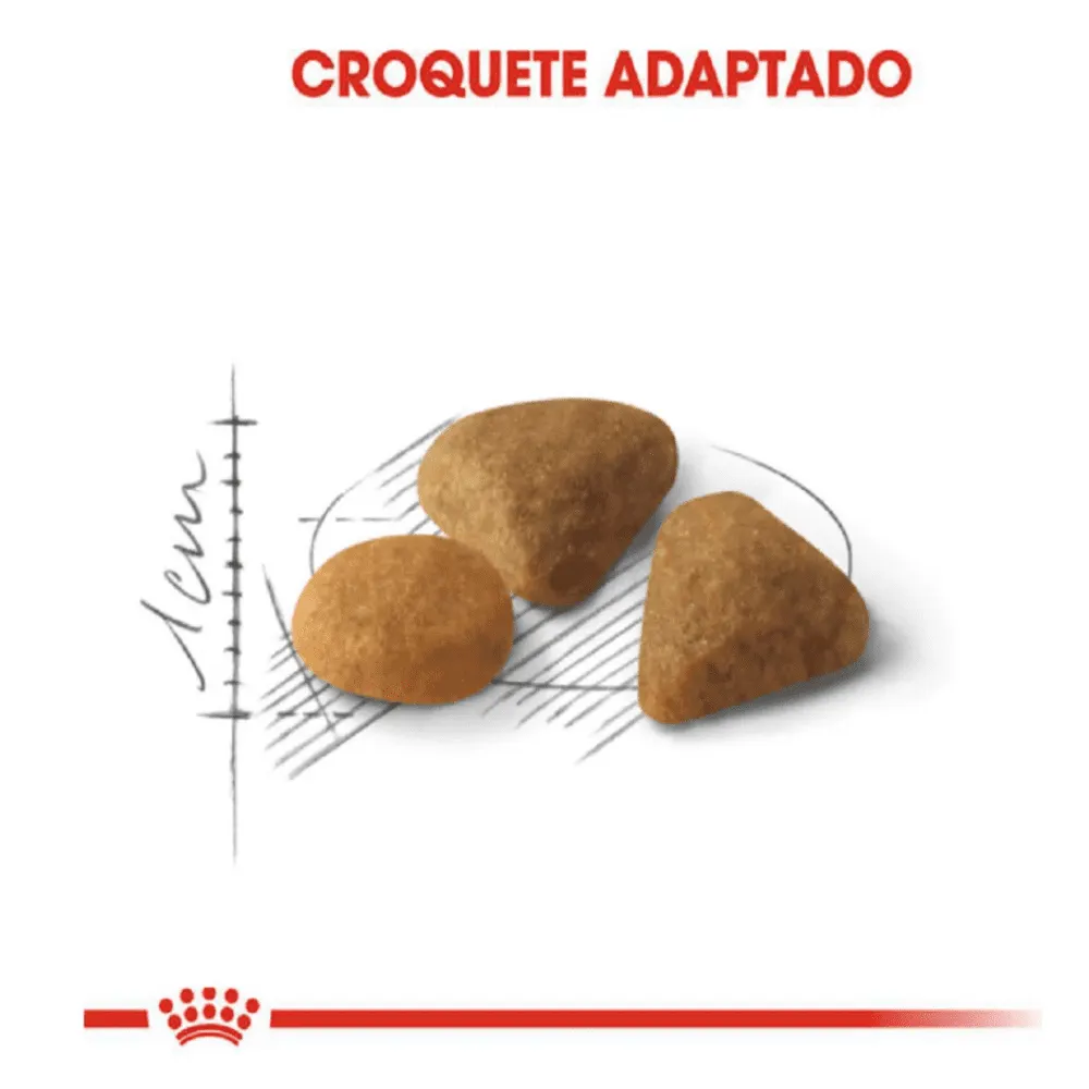 Ração Royal Canin Exigent Gatos Adultos 400 g