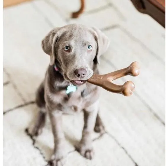 Benebone Wishbone Amendoim M
