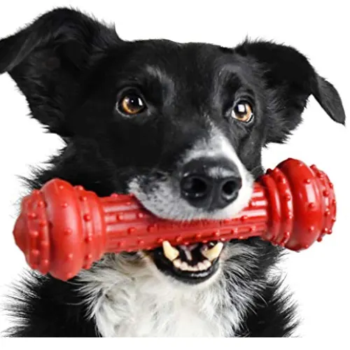 Brinquedo Nylon Pet Qwerks Bongo Prime Ribe G
