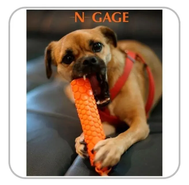 Brinquedo Pet Cachorro Pequeno Mordedor N-gage Bumper Júnior