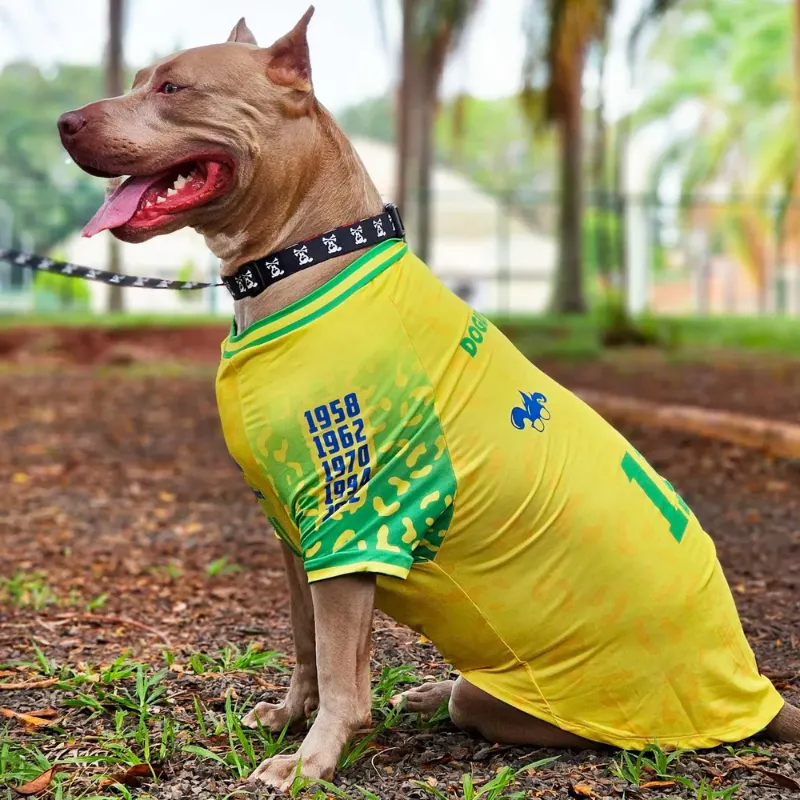 Roupa Pet Brasil Amarela UV50+  Dog Nerd 2026