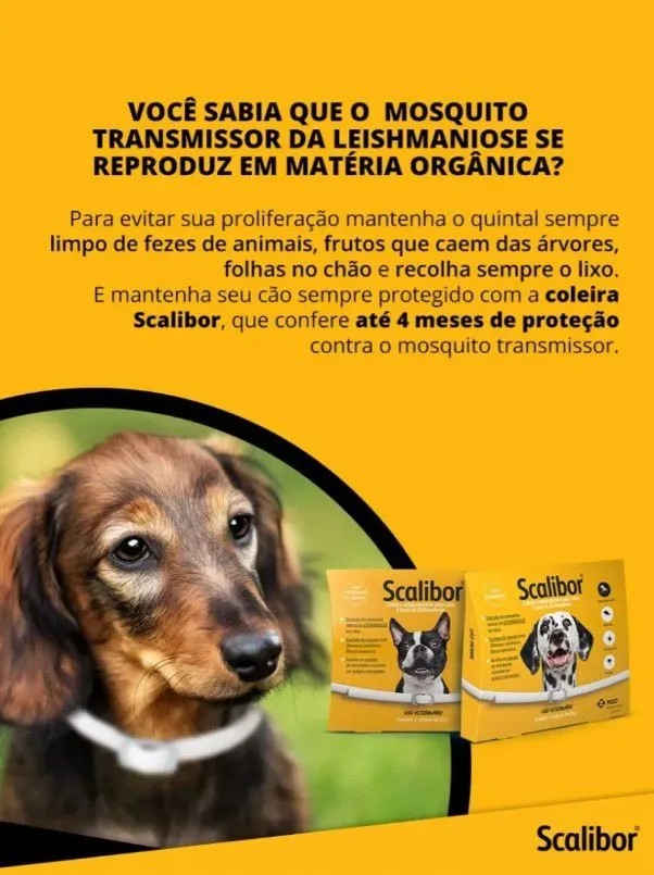 2 Coleira Antipulgas Scalibor Cães Pequenos e Médios 48 cm