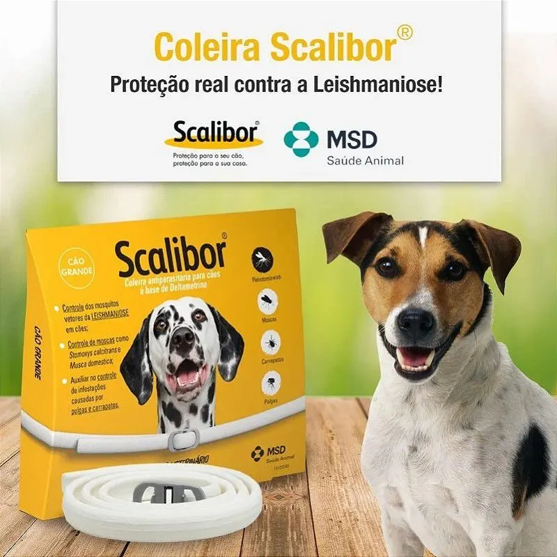 2 Coleira Antipulgas Scalibor Cães Pequenos e Médios 48 cm