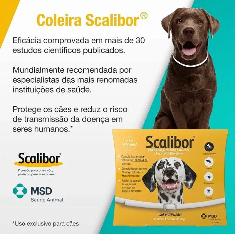 2 Coleira Antipulgas Scalibor Cães Pequenos e Médios 48 cm