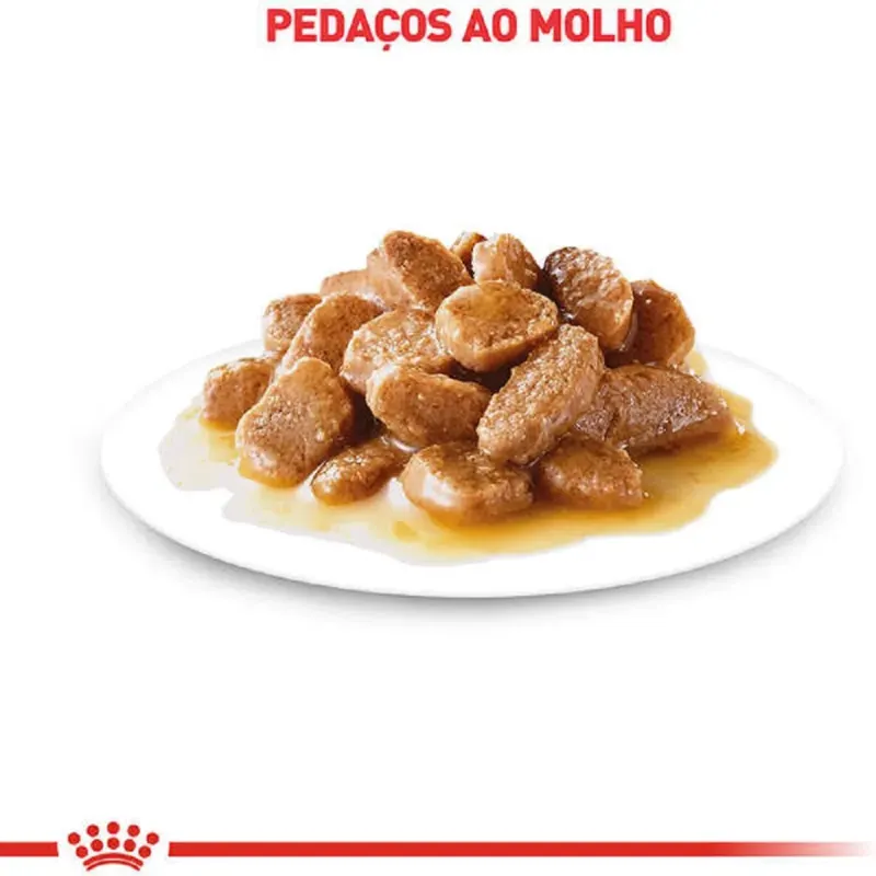 Ração Úmida Royal Canin Mini Ageing 12+ Cães Idosos 85g