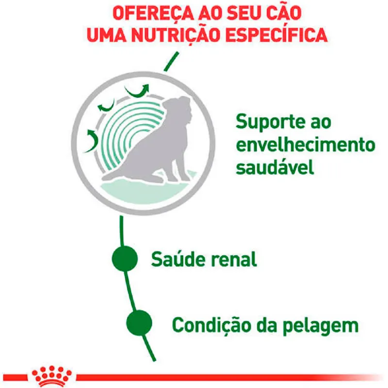 Ração Úmida Royal Canin Mini Ageing 12+ Cães Idosos 85g
