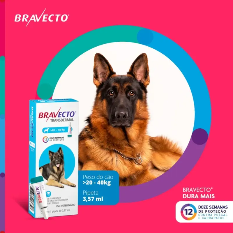 Antipulgas Bravecto Transdermal Cães 20 a 40 kg 1000 mg