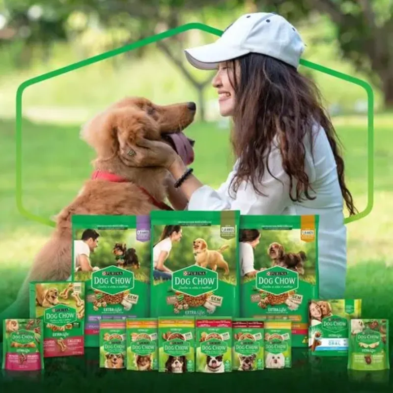 Dog Chow Sachê Para Cães Adultos Sabor Carne 100 g