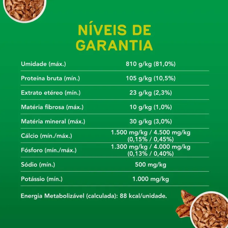 Dog Chow Sachê Para Cães Adultos Sabor Carne 100 g