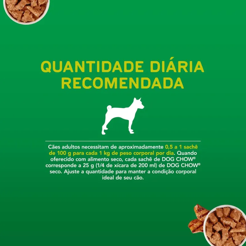 Dog Chow Sachê Para Cães Adultos Sabor Carne 100 g