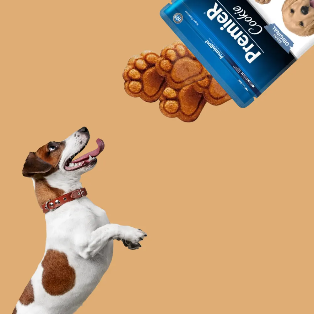 Biscoito Premier Cookie para Cães Filhotes 250g