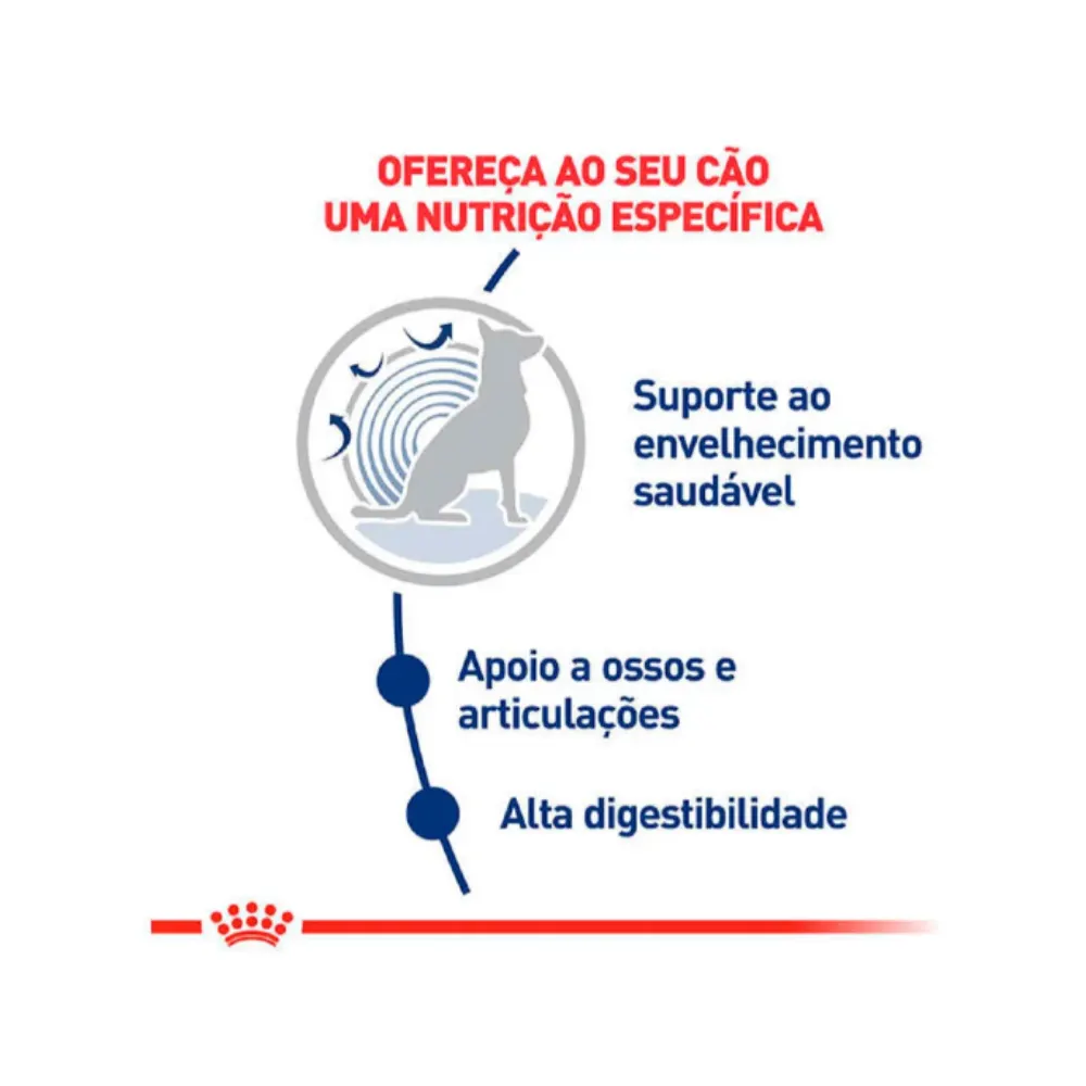 Ração Royal Canin Ageing 8+ Cães Sênior Porte Grande 15kg