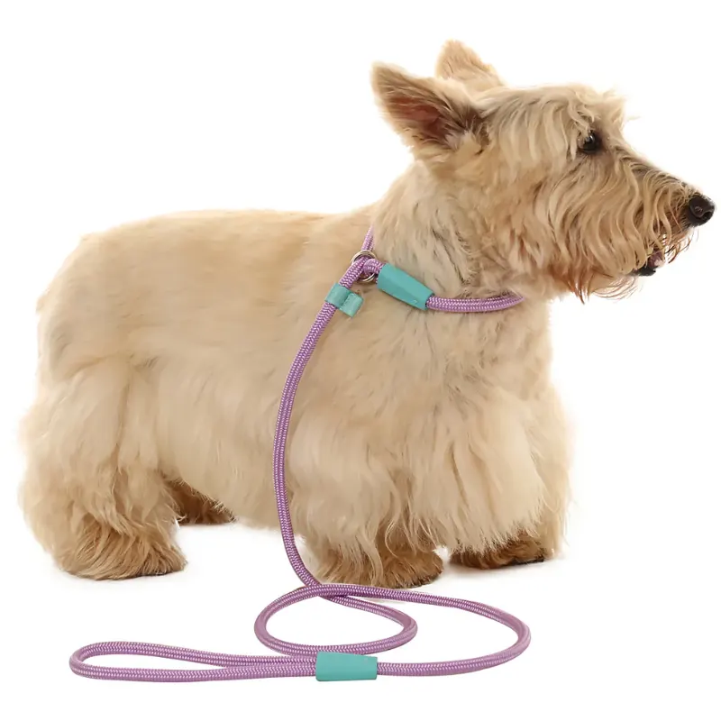 Guia Toh Unificada  Corda U para Cães Lilás