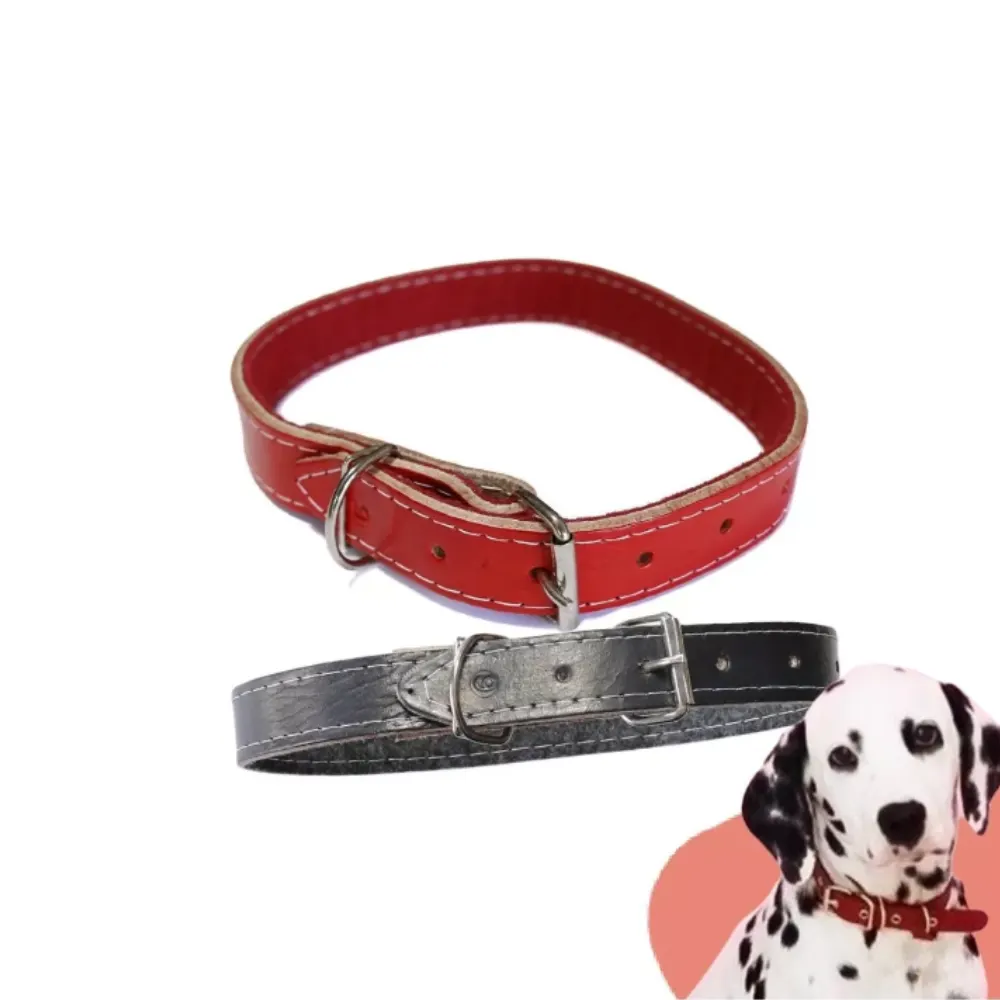 Coleira De Couro Reforçada Para Cães 51cm Nº6