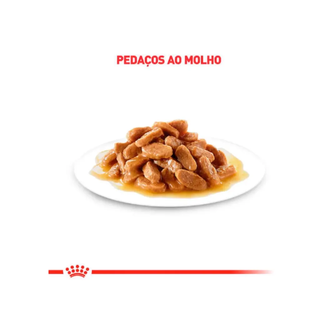 Ração Úmida Royal Canin para Gatos Adultos Castrados 85g