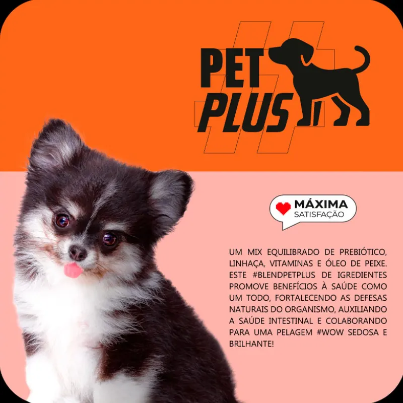 Ração Max Cães Filhotes Porte Pequeno Carne e Arroz 10,1 Kg