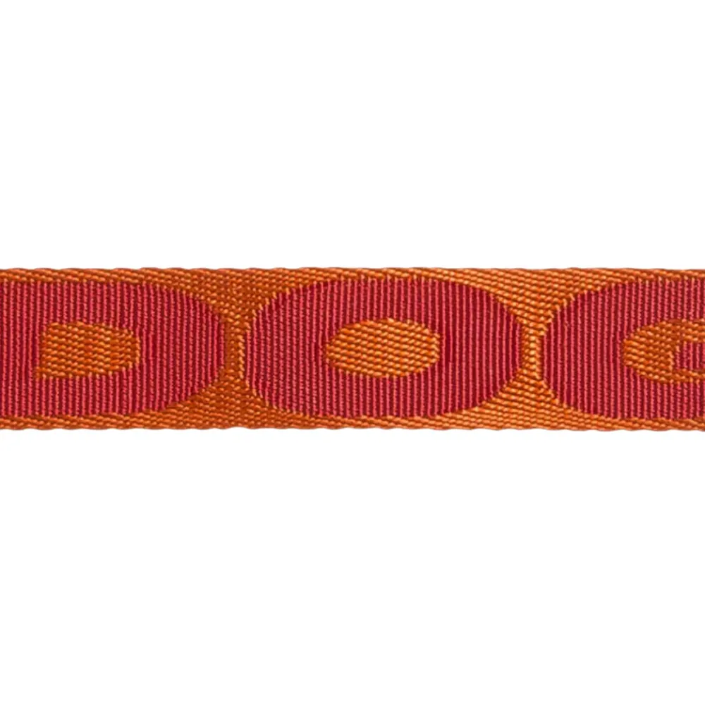 Coleira Zee.Dog para Gatos Jacquard Gibson