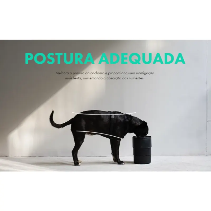 Pote  Zee Bowl para Cães Gotham