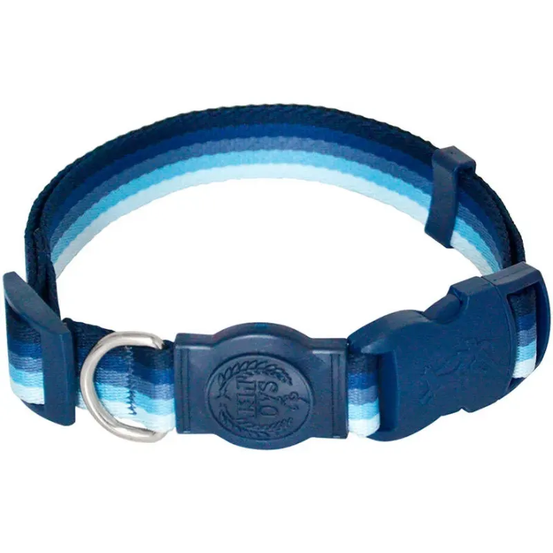 Coleira São Pet Degradê Azul