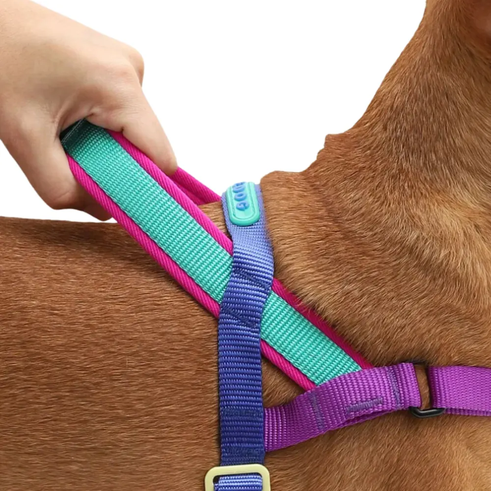 Peitoral Antipuxão Softer Walk Cachorros Shockwave