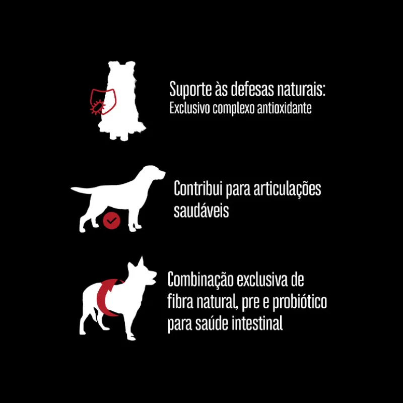 Ração Equilíbrio para Cães Adultos de Porte Grande Sabor Carne 12 Kg