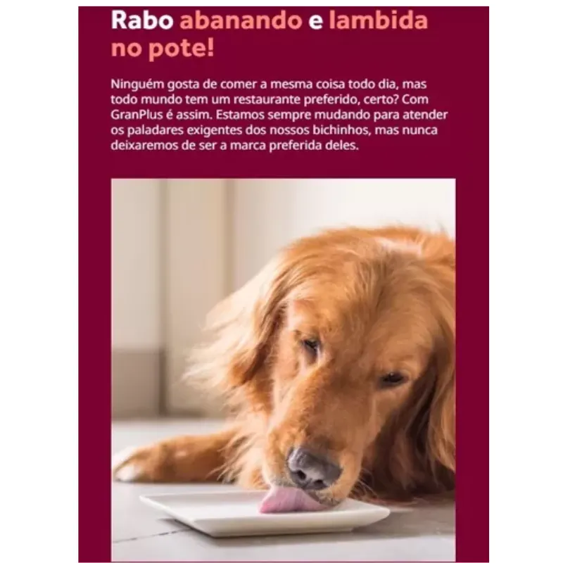 GranPlus Gourmet Sachê Cães Adultos Carne 100g