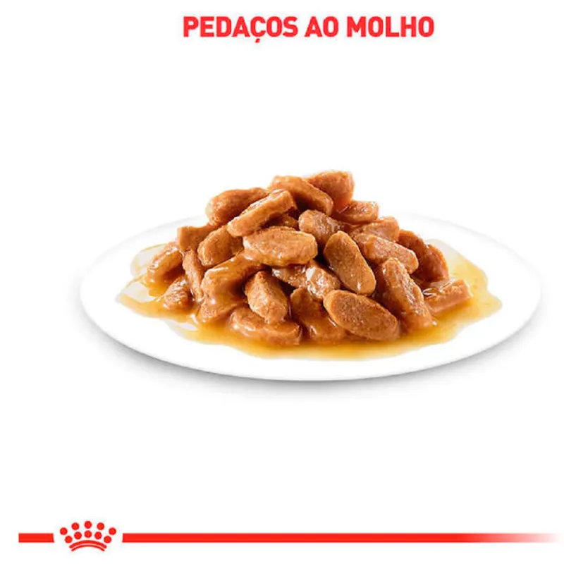 Ração Úmida Royal Canin Intense Beauty para Gatos Adultos 85g