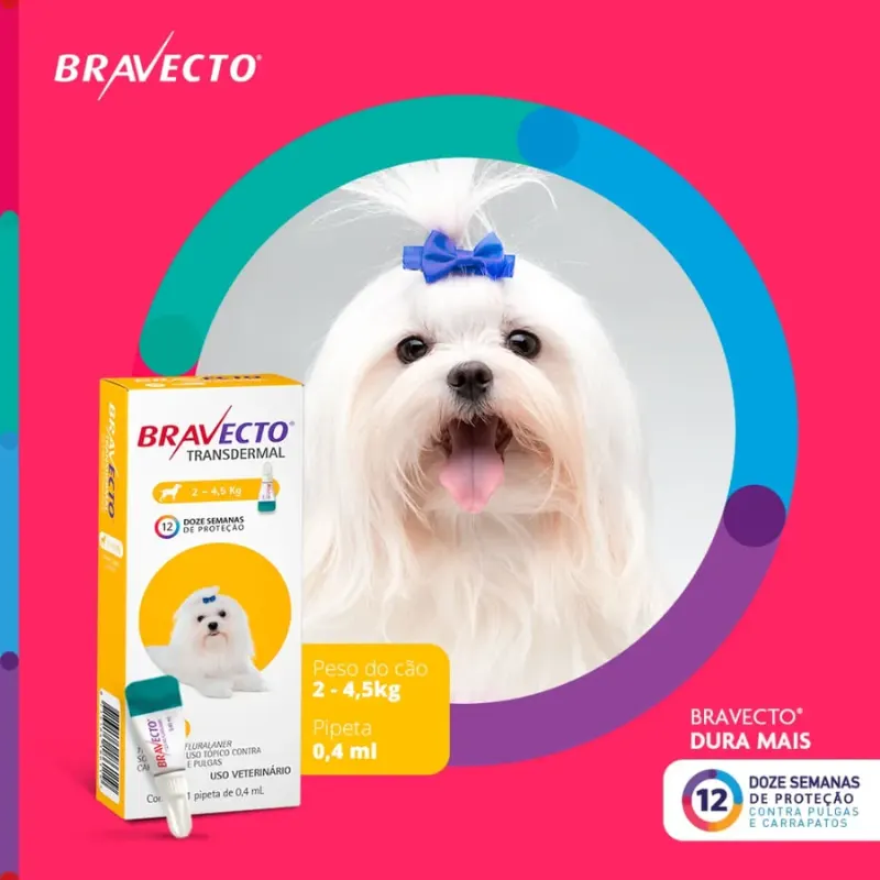 Bravecto Transdermal para Cães de 2 a 4,5 Kg